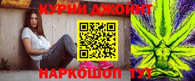 гашик Будённовск