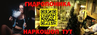 гашик Будённовск