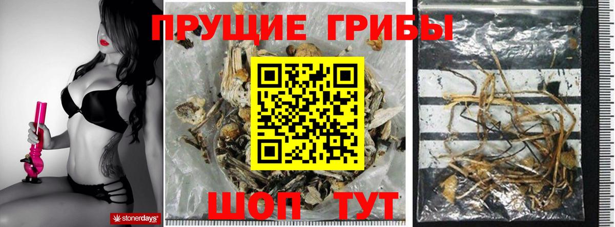 Псилоцибиновые грибы GOLDEN TEACHER Надым